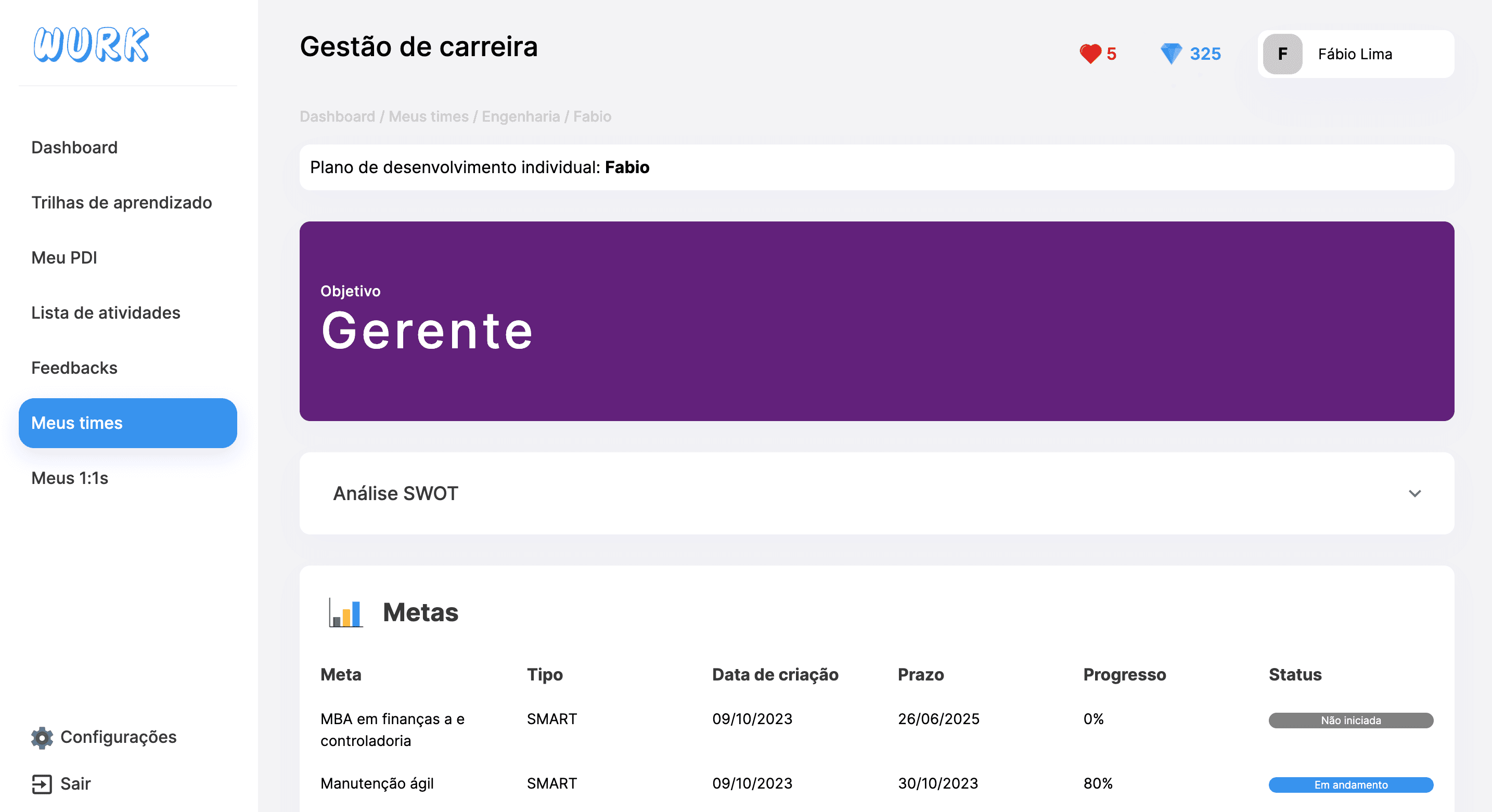 Tela na página do Meu Time no dashboard da WURK